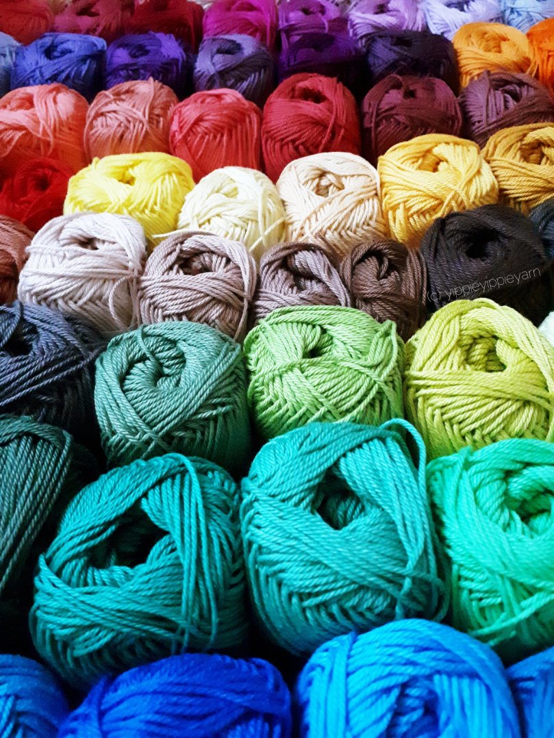 Catania_Schachenmayr